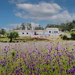 Tatil Evi Casa Alfambras - In By Lisbeyond Aljezur