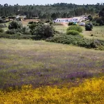 Casa Alfambras - In By Lisbeyond