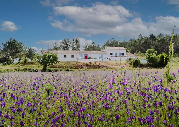 Holiday home Casa Alfambras - In By Lisbeyond Aljezur